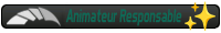Animateur Responsable